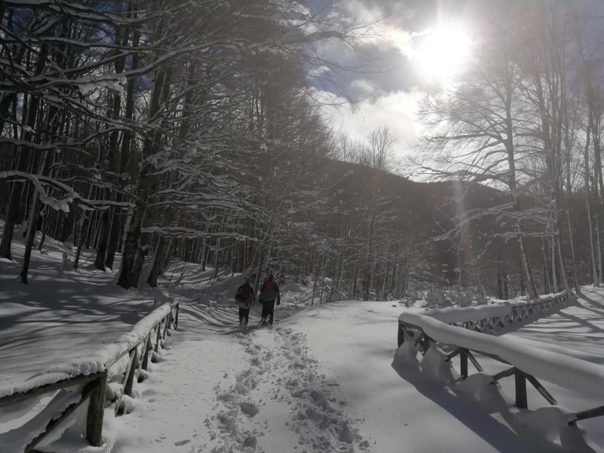 B&B Il Buon Cammino Roccamandolfi Kültér fotó